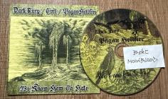 Dark Fury Evil Pagan Hellfire - We Know How to Hate