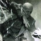 Kiev Stingl - Meine Sterne fallen