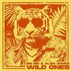 Big Ric  Alan James - Wild Ones