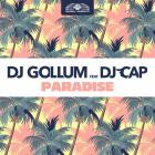DJ Gollum Feat  DJ Cap - Paradise