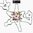 Sam Goku-Bliss Drift- DKMNTL117 -24BIT-WEB-FLAC-2026-BABAS