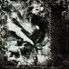 Hereswhereitallends - Shards Of Shattered Memories