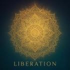Julian Jenkins - Liberation