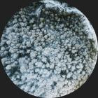 Biocym-Narrow Slopes- ST015 -24BIT-WEB-FLAC-2020-BABAS