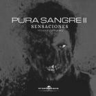 Juanjo Villen  Jandro Fernandez - Pura Sangre 2 Sensaciones