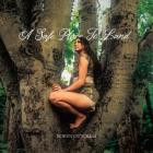 Robyn Ottolini - A Safe Place To Land