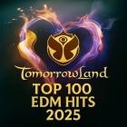 Tomorrowland 2025 Top 100 EDM HITS (24.10.2025)