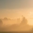 Purl-Havets Sang- LR3084335 -24BIT-WEB-FLAC-2026-AGITB