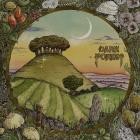 Dark Forest - Ridge & Furrow