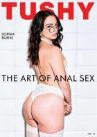 The Art Of Anal Sex 15