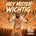 Steve Es - Hey Mister Wichtig (DJ Mixes)