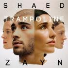 Shaed And Zayn-Trampoline-Single-24BIT-WEB-FLAC-2019-SYMPHONY
