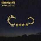 Moral Bombing - chrysopoeia