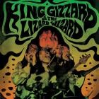 King Gizzard & The Lizard Wizard - Live at Levitation '14