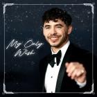 David Archuleta - - My Only Wish  