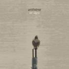 Anthene-Air Signs- DR113 -24BIT-WEB-FLAC-2026-BABAS
