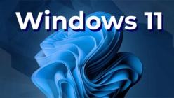 Windows 11 Pro 21H2 Build 22000.434 (x64)