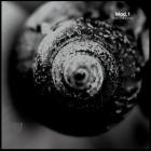 Mod 1-Into The Circle- LL004 -16BIT-WEB-FLAC-2023-BABAS