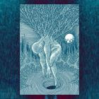 Sallow Moth - Blue Permutations