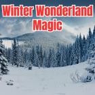 VA - Winter Wonderland Magic