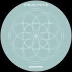 Angioma - Iced Like The Sun