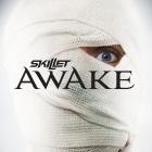 Skillet-Awake-24BIT-96KHZ-WEB-FLAC-2009-FLACCiD