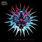 My Own Shiva - LIFEBOUND