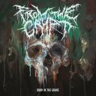 From The Crypt - Born In The Grave