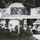 Thorn Haven - Never Present