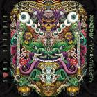 Superluminal - Soma Circuit