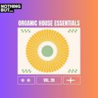 VA - Nothing But -  Organic House Essentials, Vol  20