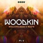 WOODKIN aka Mollono Bass & MAZ'N - WOODKIN - Part 5  