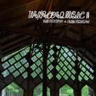 Celia Hollander and Evan Shornstein - Unexpected Music II