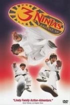 3 Ninjas Fight & Fury