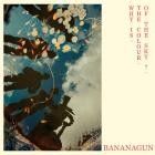 Bananagun - Why is the Colour of the Sky