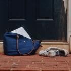 Edgehill - Jonnys Friend