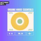VA - Nothing But -  Organic House Essentials, Vol  24