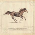 Turnpike Troubadours - - A Long Way From Your Heart  