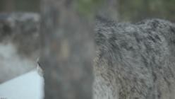 Ein.Planet.vor.unserer.Zeit.S03E01.GERMAN.DL.DOKU.1080p.WEB.h264-HAXE