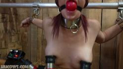 HuCows.26.08.15.Sarah.Brooke.Taken.To.The.Barn.XXX.1080p.MP4-FETiSH