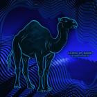 Camel Of Doom - The Desert At Night XX