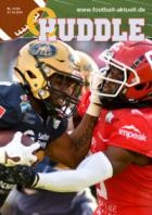 eHUDDLE 41/2025