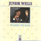 Buddy Guy, Junior Wells - - Pleading The Blues  