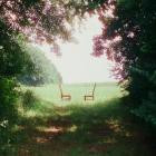 Ratboys - Singin' to an Empty Chair (Deluxe)