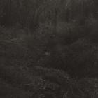 Lesley Mok - transient