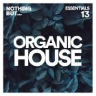 VA - Nothing But -  Organic House Essentials, Vol  13