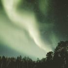 Fatih Tuter - Nature Of Mind