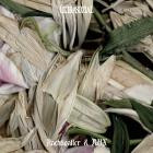 Nachtigaller & RYX - Crushed Memories