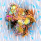 Daisy Moon-Shadow Of Silhouettes- TIMEDANCE034D -24BIT-WEB-FLAC-2024-BABAS