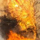 Inter Arma-Sulphur English-24BIT-48KHZ-WEB-FLAC-2019-FLACCiD
